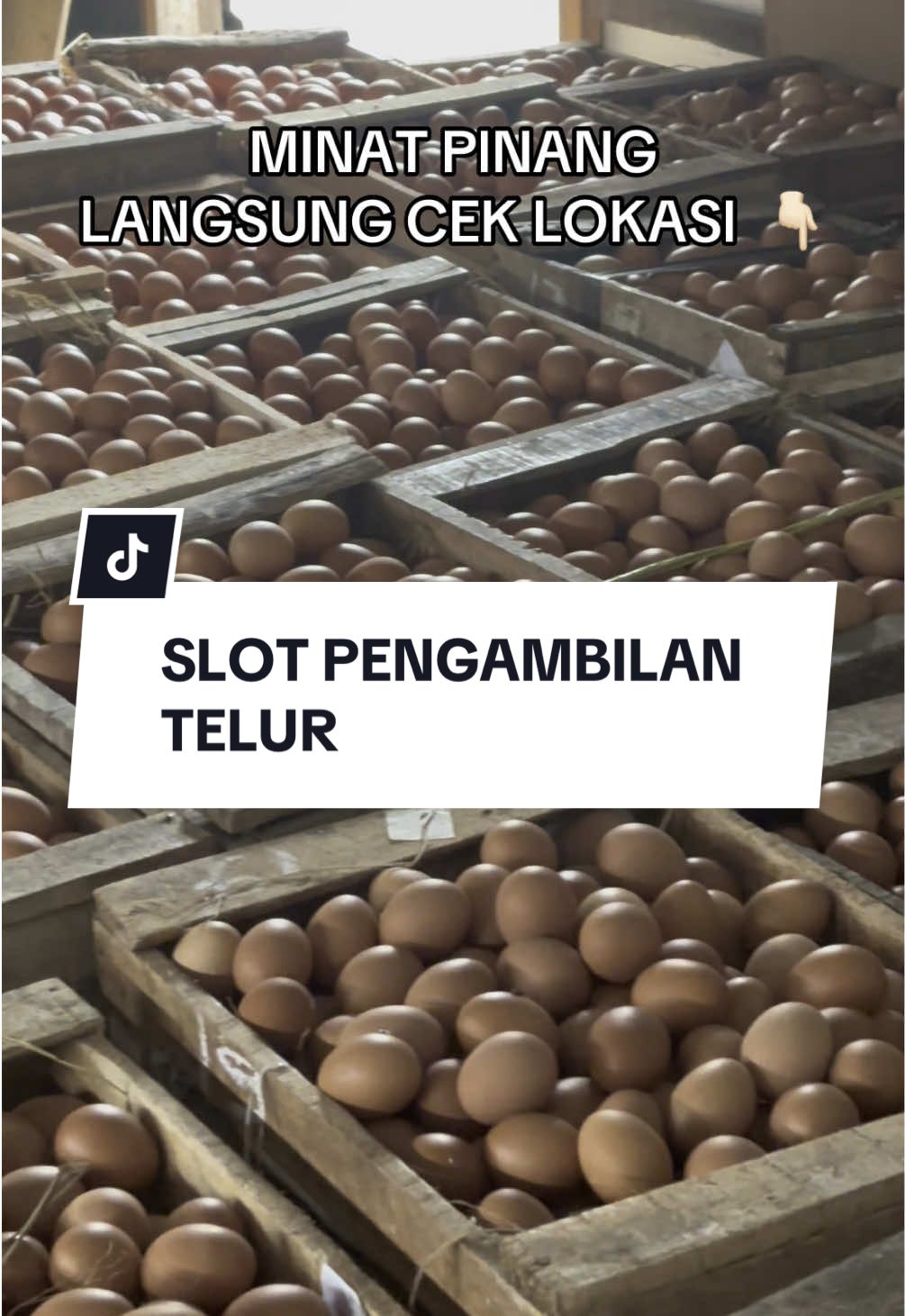 Info pembelian telur, klik lokasi ya #telur #bakul #masukberandafyp #telurayam #peternakan 