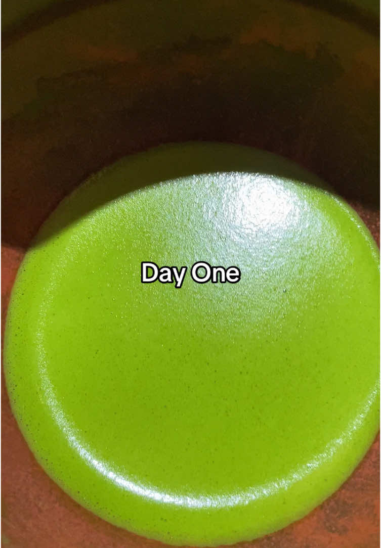 Proses penyeduh Matcha at @kigocoffee  #matcha 