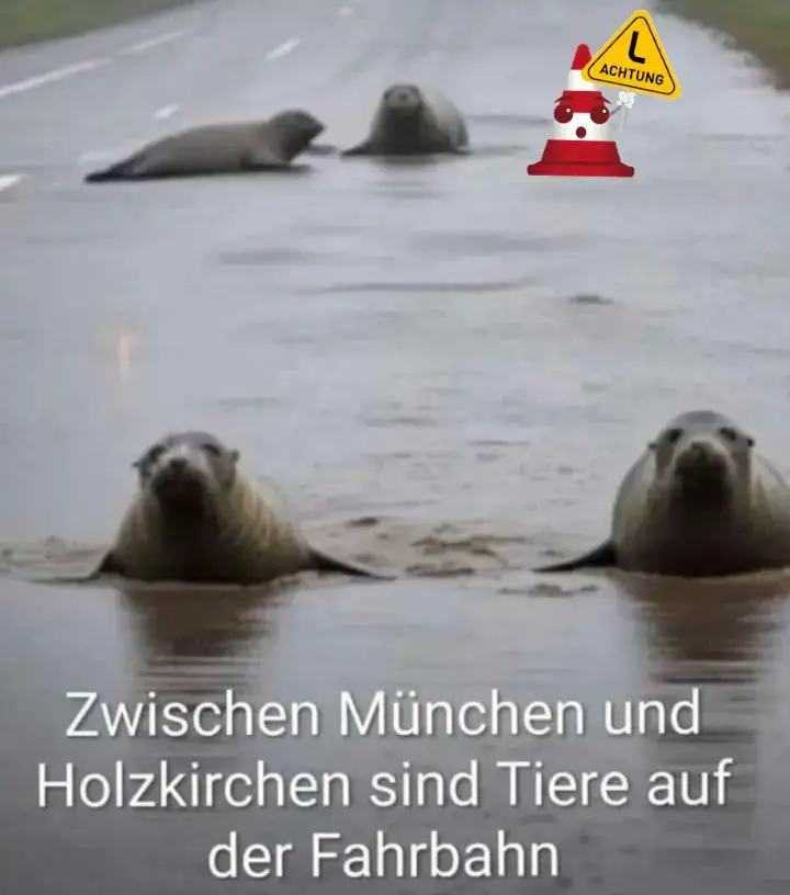 #viral #tiktok #fyp #spass #fy #viralvideo #foryou #foryoupage #humor #laugh #witzig  #fyyyyyyyyyyyyyyyy #warning #fake #sommer #hot 