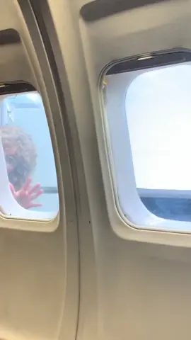 I love flying 