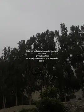 #crystalcastles#vanished#bosque#fyp#darkambients 