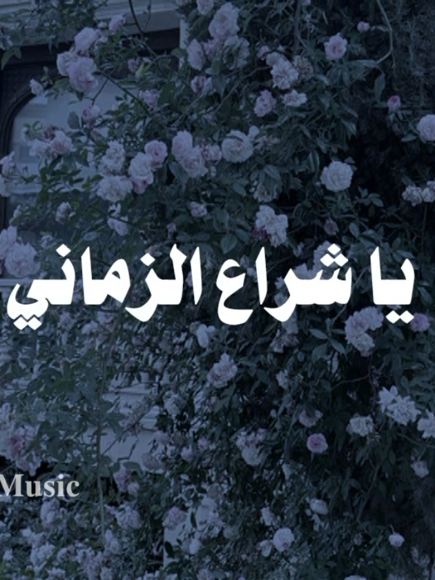 بدون موسيقى🤎 #مديني_ياشراع_االزماني #fyp  #اناشيد #بدون_موسيقى #no_music 