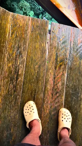The Clearest lake is called Paisupok 🤩 #paisupok #paisupokluwukbanggai #banggaikepulauan #sulawesitengah #exploreindonesia #fyp 