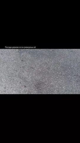 #шутим 