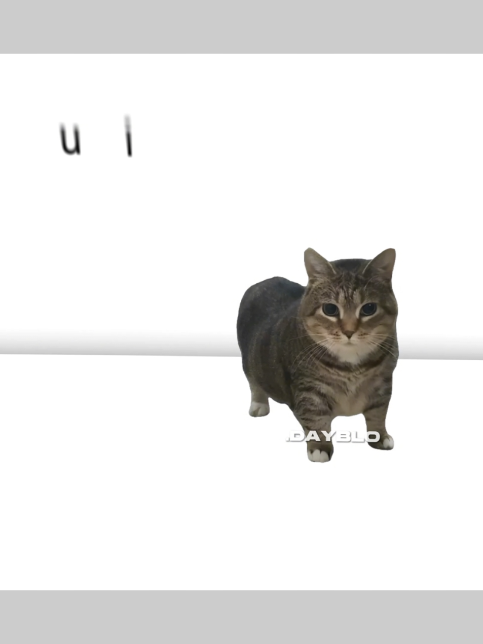 Onion, but it's Oiia Cat (UIA) @joost #mashup #cat #joostklein #onion #oiiaiiooiiai #foryou 