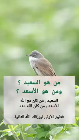 #_هاشتاقات 