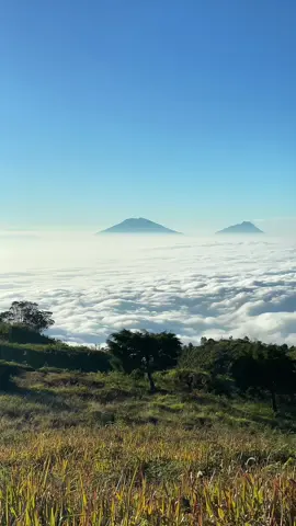 prau 3 agustus, jasa dokumentasi ke prau dm aja yaa, dijamin termurah se wonosobo🤙🏻🤩 #gunungprau #gunungprau2565mdpl #lautanawan #pendaki #fyp 