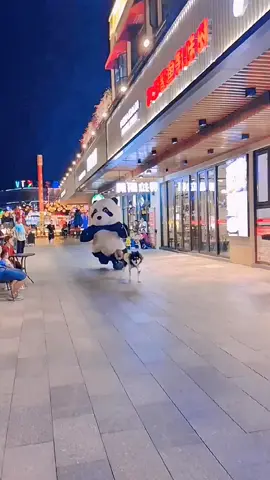 #funnyvideos #funny #funnyanimals #comedyvideo #comdy #lucu #fyp #fypシ #foryou #xuhuong 