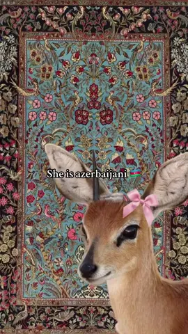 #🇦🇿 #azerbaijani #azerbaijanculture #keşfetbeniöneçıkart   
