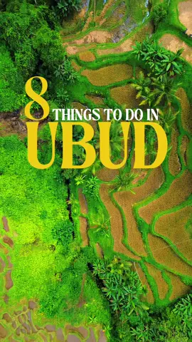 8 Things To Do in Ubud, Bali 🇮🇩✨  📍 A must-visit destination for your Bali itinerary! Ubud is the cultural heart of Bali – perfect for nature lovers, spiritual seekers & foodies alike. 💫  1. Rice Terrace – Wander through the iconic Tegallalang rice fields and take in lush green views that stretch for miles! 🌾 2. Tibumana Waterfall – Cool off in this dreamy hidden gem surrounded by jungle paradise. 🏞️ 3. Ubud Water Temple – Step into serenity at Pura Taman Saraswati, the stunning lotus-filled water temple in the heart of Ubud. A peaceful spiritual site right near the Palace. 🪷🛕 4. Luwak Coffee at Kumulilir – Taste Bali’s famous Luwak coffee and tour the plantation with epic jungle views. ☕🐾 5. Sunday Brunch at Sawah Terrace – Dine riverside at the luxurious Mandapa Ritz-Carlton Reserve. This indulgent brunch is a culinary experience set in the jungle — think five-star service and unforgettable views. 🍽️🌿 6. Mount Batur Sunrise Hike – Catch breathtaking sunrise views from above the clouds after an epic volcano trek! 🌋🌅 7. Ubud Market – Shop for handcrafted souvenirs, art, and local goods. Perfect for gifts & treasures. 🧺🎨 8. Ubud Palace – Explore the cultural soul of Ubud with traditional Balinese architecture and dance performances. 👑💃 #ubud #ubudbali #thingstodo #travelinspo #traveltips #backpacking #budgettravel #indonesiatravel #indonesia #bali #balitravel #creatorsearchinsights 