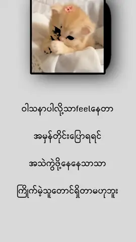 #viewsတွေရှယ်ကျ🙂👍 #fyppppppppppppppppppppppp 