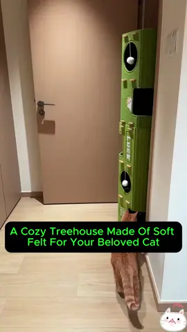 kung ayaw nyo sila lagi nakakulong and kung masikip ang cage this is the sign to buy this goiz!🫡😾 