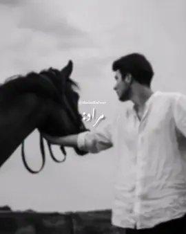 •🌸📚 📖:Dana Pani by Umera Ahmed incomplete! #shaiza_kalwar #foryoupage #foryou #fyp 