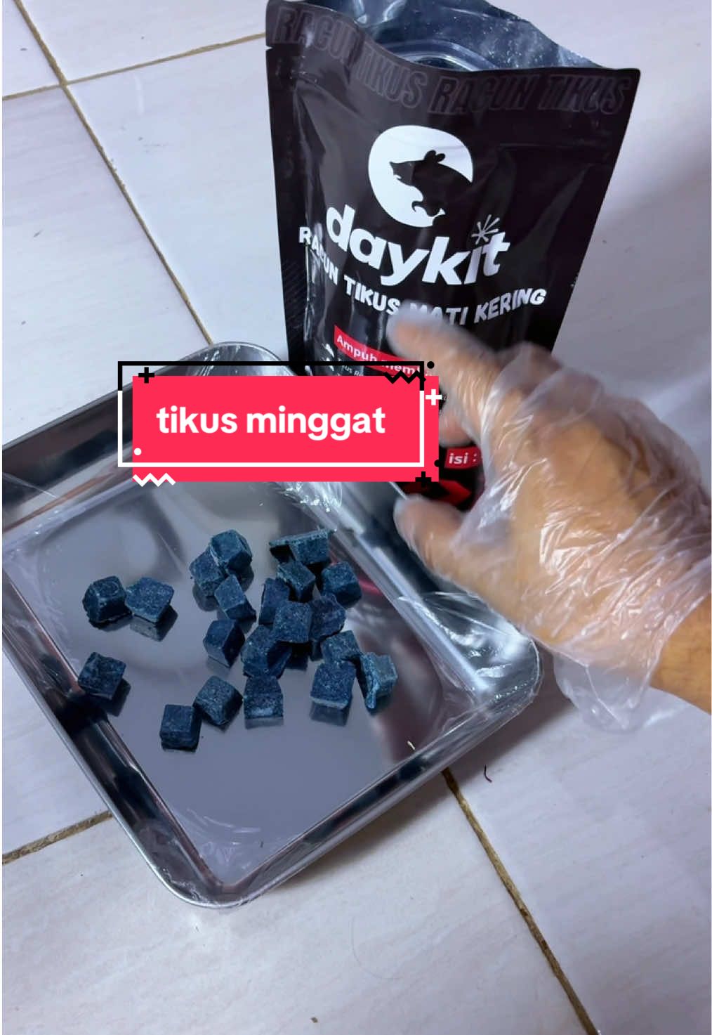 daykit racun tikus anti bau bangkai, tikus akan mati kering #daykit #antitikus #pembasmitikus #ratkiller 