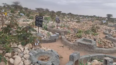 Xabaalaha Baqiic Magalada Hargeisa 