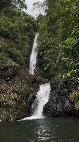 Curug tersembunyi di Purbalingga. #purbalingga #curugaul #rembang #jawatengah #jatenghits #purbalinggatiktok #tiktokviral #tiktoknews #viralvideo #viraltiktok #viral #fyp #jawatengahhits #pesonaairterjunindonesia #hiddengems #hiddengempurbalingga #hiddengem #explorepurbalingga 