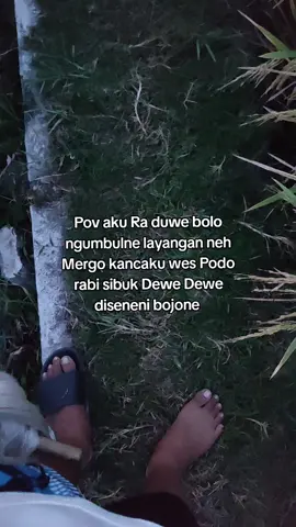 gek pie Iki sopo seng ngedulne @AZMM @pujexanakbaik  #masukberanda #pelayangtulungagung #fyp #ponorogo24jam #layanganpegon #pegonceper #