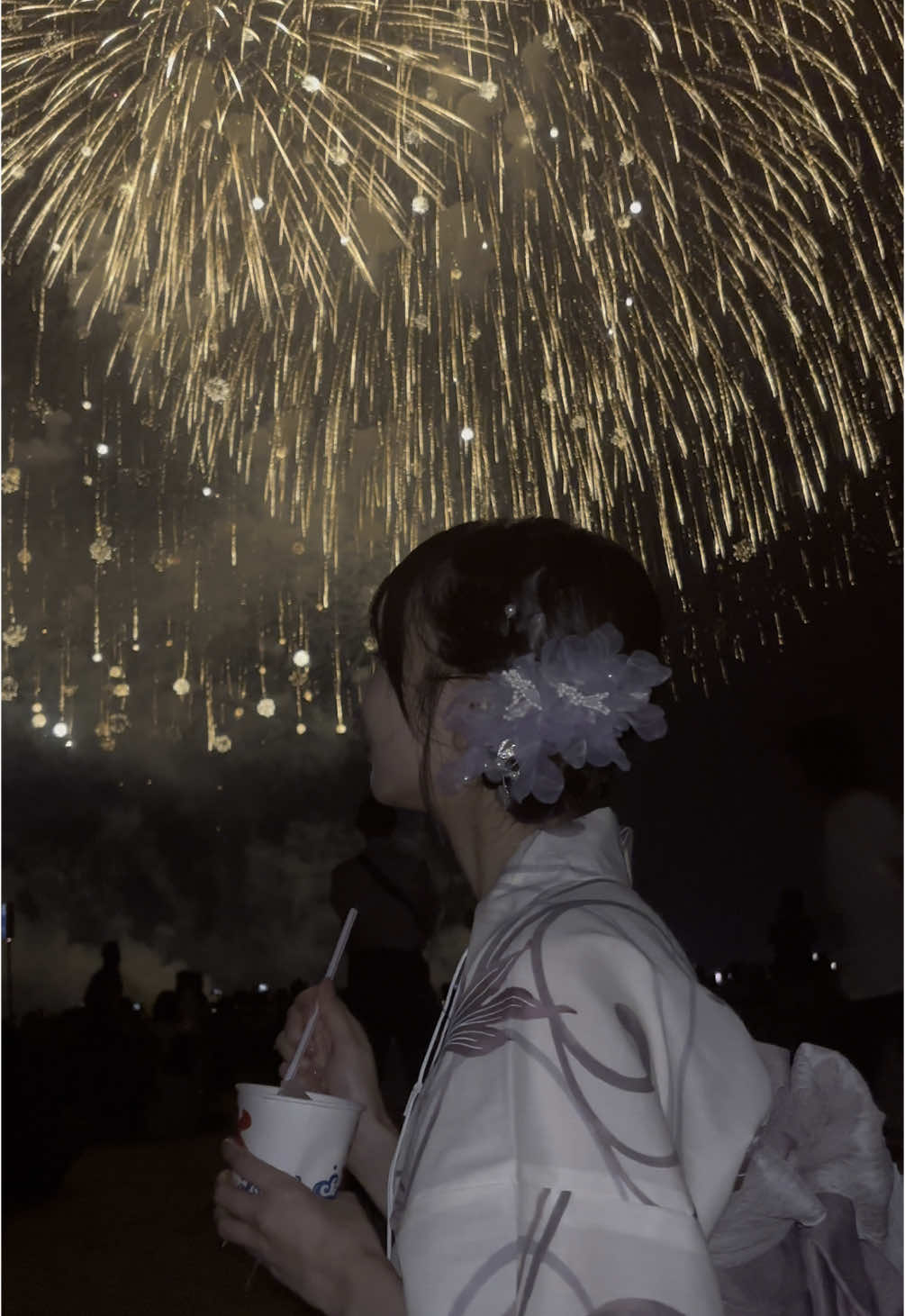 人生初！長岡花火大会行ってきたよ🎇👘 あおマス席でめっちゃ綺麗に見えた(∩´ ᵕ `∩) #長岡花火 #花火大会 #fireworks 