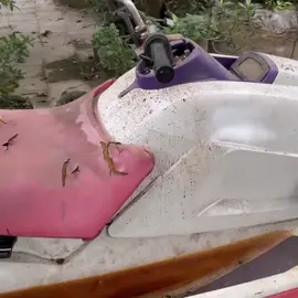 #restoration #amazing #fyp #made 