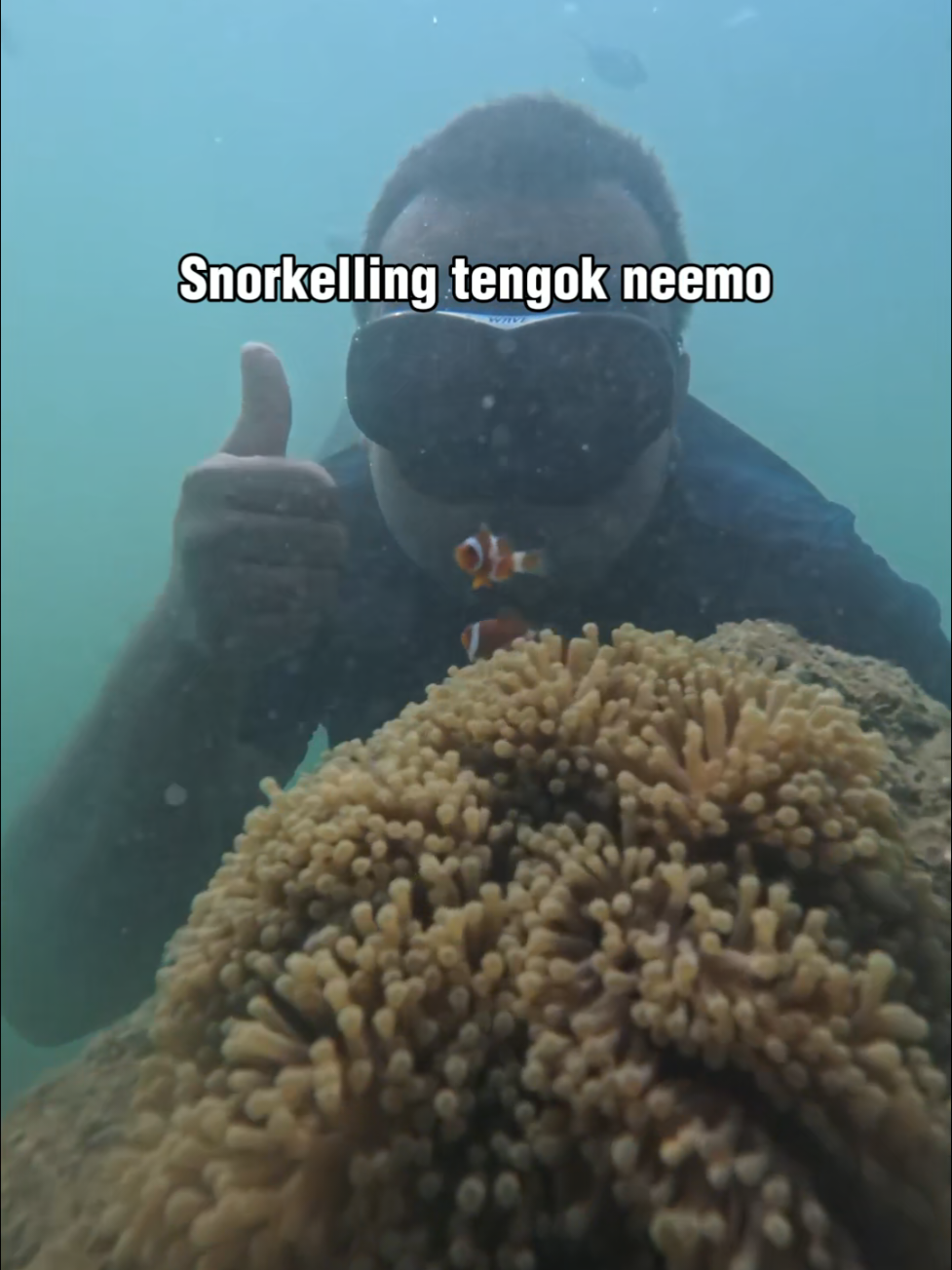 Port cantik yang tak ramai orang tahu. Tak jauh pun!  #makanbestjohor #bintan #pasirgudang #vacation #murah #pantai #snorkeling #johor #cantik #OOTD  @rumahtravelerkita @madutigabeach.and.resort 