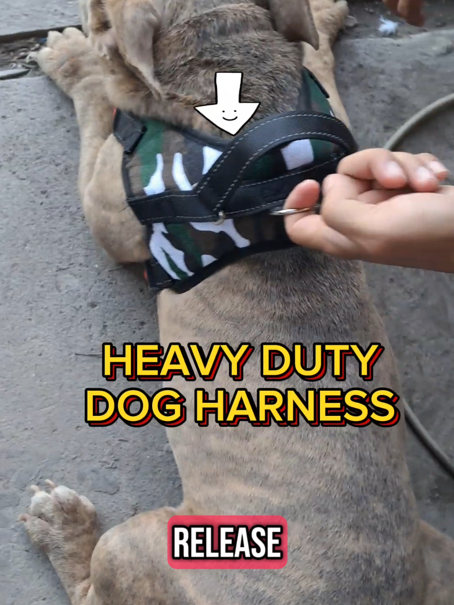 Reflective and Breathable Heavy Duty Dog Harness #dogharness #dogessentials 
