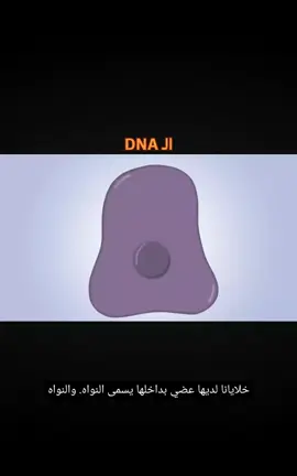 احياء السادس الفصل الاول  #سادس_متميزين #اللهم_صل_على_محمد_وآل_محمد #السادس_العلمي #الانقسامات #سادسيون 