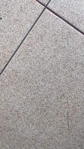 😋 #naakesha #supra #supra125 #suprabapak #kyz #kyzgank🚀 #kphgank #kphganksoloraya🚀 #masukberanda #fyp 