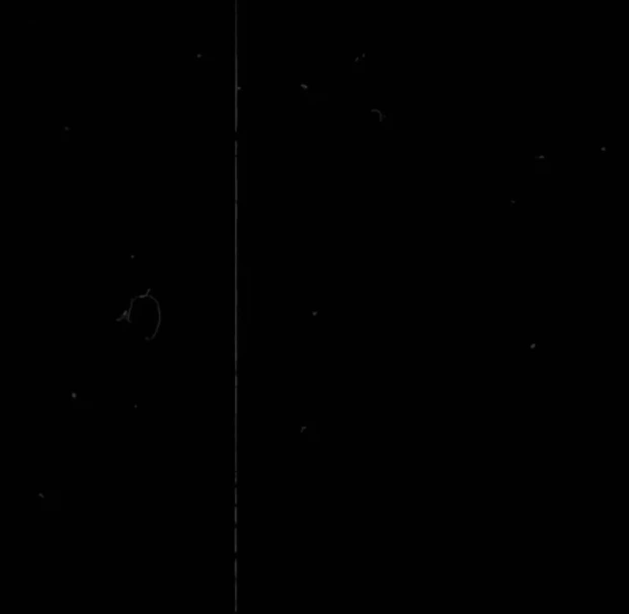 Part 28 | Mention Your Life partner 🤍