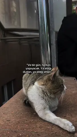 ##göndermelik #fyp #repost #tekrarpaylas 