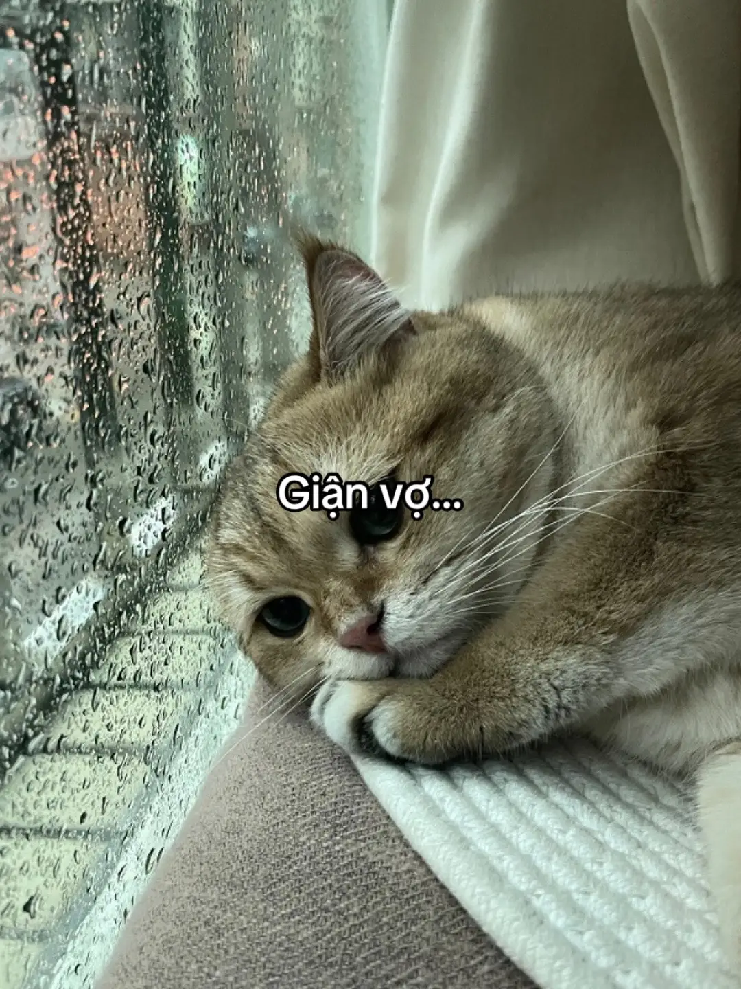 #_bat_11th03 #tamtrang #fyp #ddnxuhuong #viral 