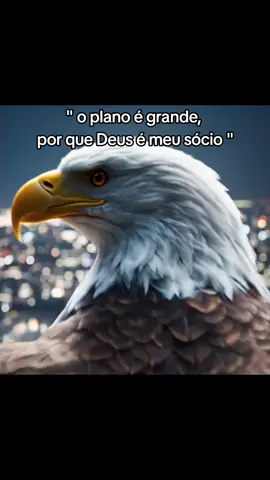 só confia, se foi Deus que te deu o sonho, fique sabendo que tem coisas maiores ainda vindo por aí. . . . #sonho #planosdedeus #conquista #empreendedorismo #reflexão 