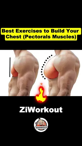 Best Exercises to Build Your Chest (Pectorals Muscles) #chestworkout #chestday #chestexercise #exercise #workout #Fitness 