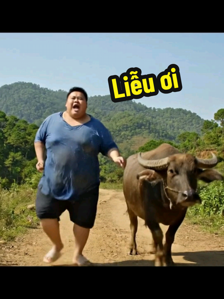 Liễu ơi em ở đâu #veo3 #ai #shortvideo #xuhuongtiktok #phitrautimnguoiyeu #shorts #phitrau 