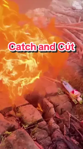 Tính quay catch and cook đồ đó, cook luôn :))) #teocauca #fishing 