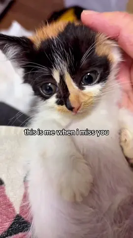 yes… 