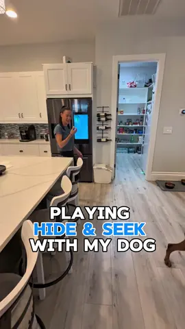 Playing hide and seek with my dog #dogs #doggames #doberman #PetsofDyson 