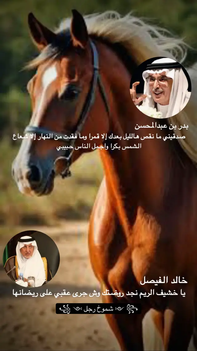 #محمد_عبده _ يا خشيف الريم نجد روضتك ,,