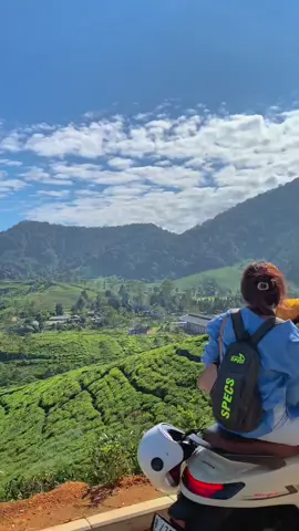 yakin gak mau ke puncak bogor?#puncakbogor #telagasaatpuncak #bogor #puncakcisaruabogor 