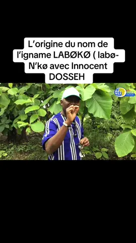 L’origine du nom de célèbre igname 🍠 labøkø .