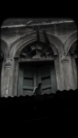 || 𝘼𝙇𝙇𝘼𝙃 𝙈𝙀𝙍𝙀 || . . . #foryoupage #foryou #song #standwithpalestine #deartiktokteamdontunderviewmyvideos #aisthetic #beutiful 