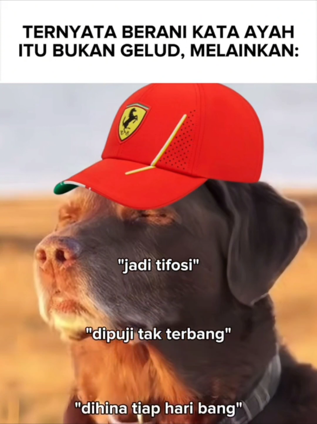 Merah di inggris ngebadut, merah di italy juga sama Ya Allah #F1 #ferrari #lewishamilton #charlesleclerc #formula1 #tifosi 