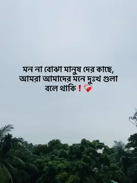 মন না বোঝা মানুষ দের কাছে, আমরা আমাদের মনে দুঃখ গুলা বলে থাকি ❤️‍🩹 #fyp #viral #capttion #views #real  #creatorsearchinsights 