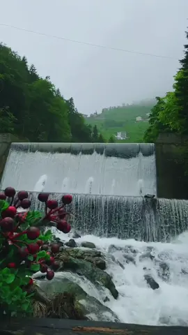 #اكسبلور #viral #تركيا 