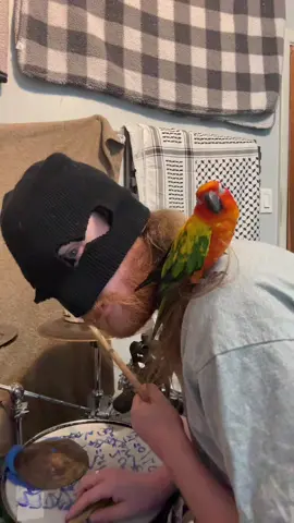 FM GLOOM IS THE NAME OF THIS SONG #SONIC #BIRDGANG #FYP