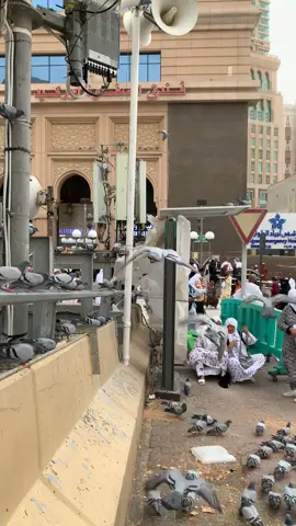 Weather makkah haram shareef#haramsharif 