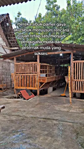 satu rencana dan satu tujuan🫡#fypシ #kambingboerfullblood #peternakkambingindonesia 