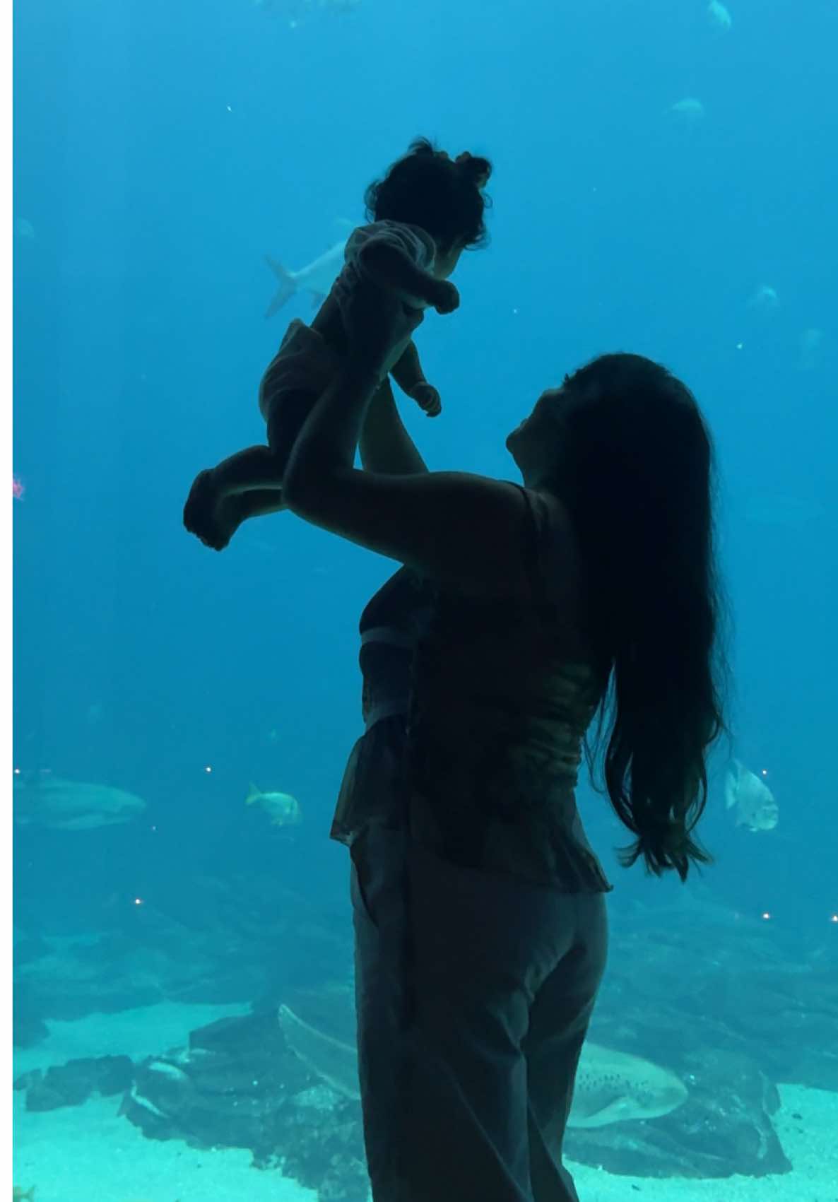 🐟🪸🪼🐡🫧🦈 #georgiaaquarium #fyp #atlantageorgia #babyactivities #underthesea 