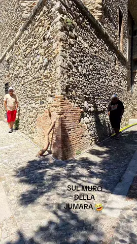 @SUL CIGLIO DELLA MURAGLIA 