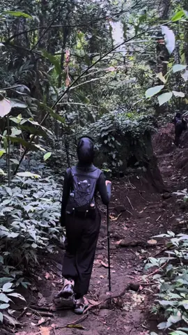 #CapCut #pendakigunung #bukithitamkepahiang #bengkulu #mountain 