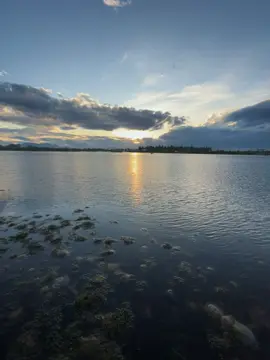 Anh khong co tien,khong co xe#xh 